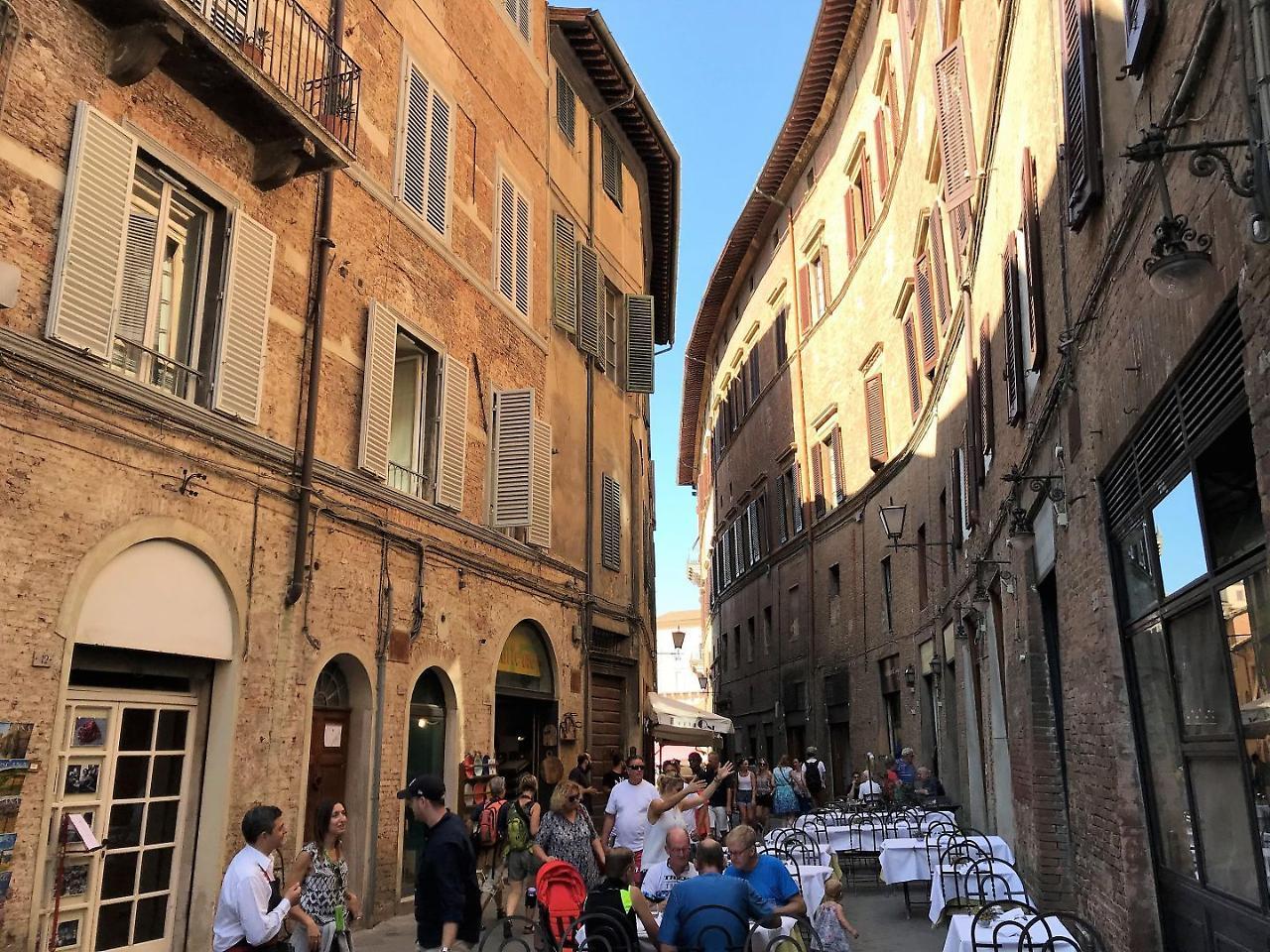 The Blue Lodge-cozy Flat Close To Piazza Del Campo